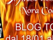 Blogtour: fuoco dell'inganno Nora Cocian
