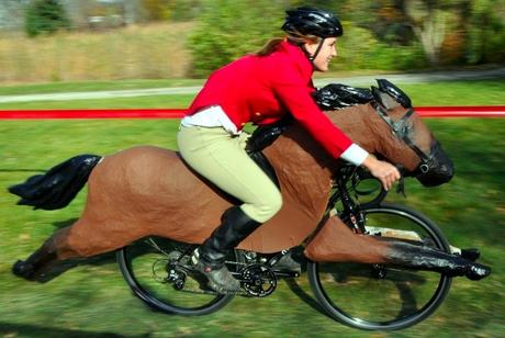 costume di carnevale per bicicletta