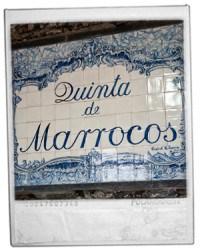 Alla scoperta dei piccoli produttori del Porto: Quinta de Marroccos