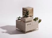 DESIGN: sopravvivenza delle piante Plantscape