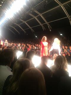 nuova-collezione-elisabetta-franchi