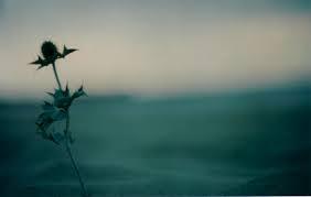 Oristano: si spegne l’Avvocato Tonino Uras