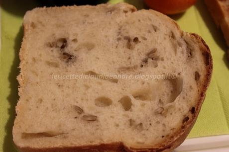 Pane in cassetta con semi di girasole e lievito madre