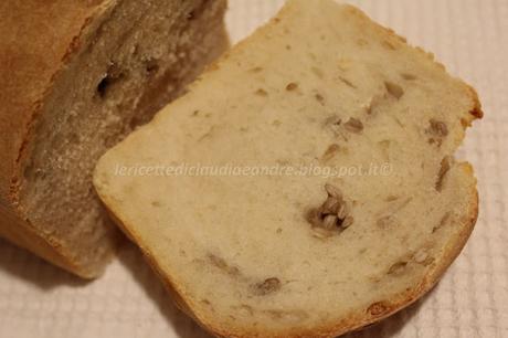 Pane in cassetta con semi di girasole e lievito madre