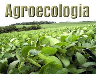 Il paradigma agroecologico come sintesi tra agronomia ed ecologia per la transizione dell’agricoltura verso la sostenibilità