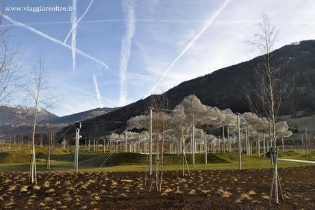 Museo Swarovski: viaggio nel mondo dell'arte cristallina