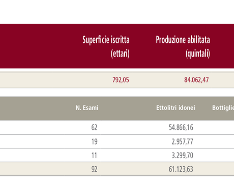 DOC TRENTO: I NUMERI. QUELLI VERI (2)