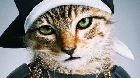 Primo trailer per Keanu, con Keegan-Michael Key e Jordan Peele alla ricerca del gatto rapito!