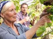 ANCONA. L’agricoltura sociale servizio della longevità. Esperienze agricoltura anziani.