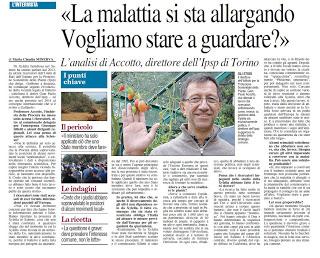 Rassegna stampa agricola