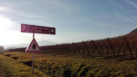 Routes des vins d'Alsace_viaggiandovaldi