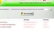 Scoprire password salvate Google Chrome Download Software