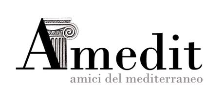 Logo ufficiale Amedit