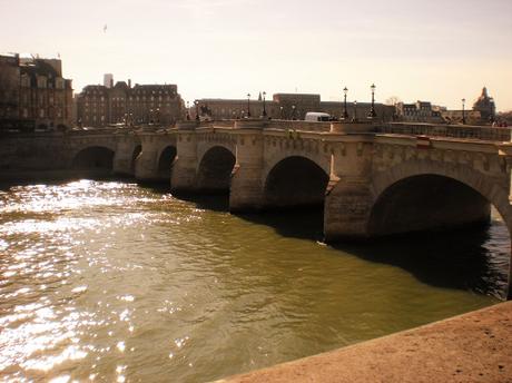 parigi_crocierafiume_bateauxmouches_iviaggidimonique