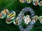 PAVIA. Iscrizioni aperte fino febbraio diventare Statistico Genomico. trovare facilmente lavoro.