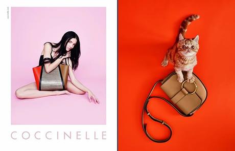 COCCINELLE SS 2016: BENVENUTA PERINE!