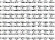 Nuovi Organismi sequenze genetiche come procede?