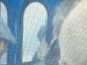 VIGEVANO (pv). Ancora rischi malfunzionamenti treni Trenord. Interrogazione Regione della consigliera Nanni.