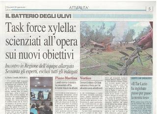 Task force xylella 28 gennaio 2016