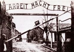 EVIDENZA-Sopravvissuto-Auschwitz