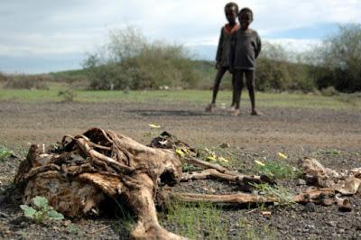 La peggiore siccità degli ultimi 50 anni in Etiopia