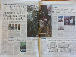 Xylella 29 gennaio 2016