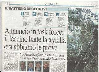 Xylella 29 gennaio 2016