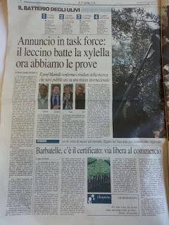 Xylella 29 gennaio 2016