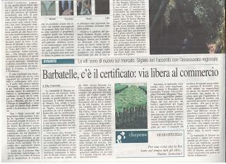 Xylella 29 gennaio 2016