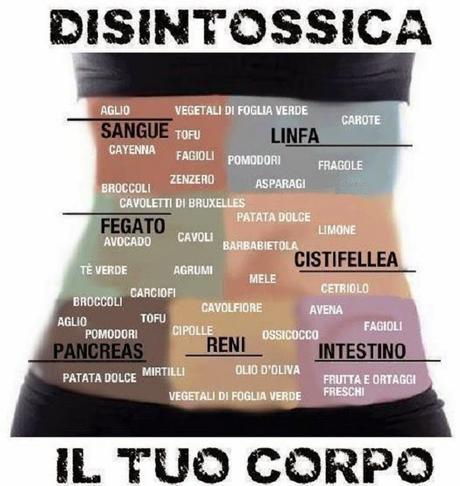 Disintossicare l'organismo: la funzione dei depurativi composti e dei depurativi semplici