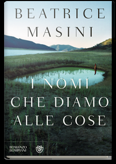 Novità da Scoprire: I nomi che diamo alle cose di Beatrice Masini