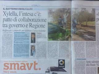 Xylella 30 gennaio 2016