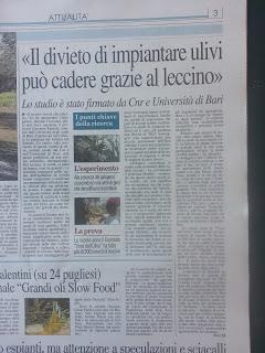 Xylella 30 gennaio 2016