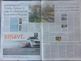 Xylella 30 gennaio 2016