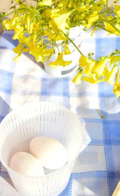 Tortini morbidi e facili alla ricotta