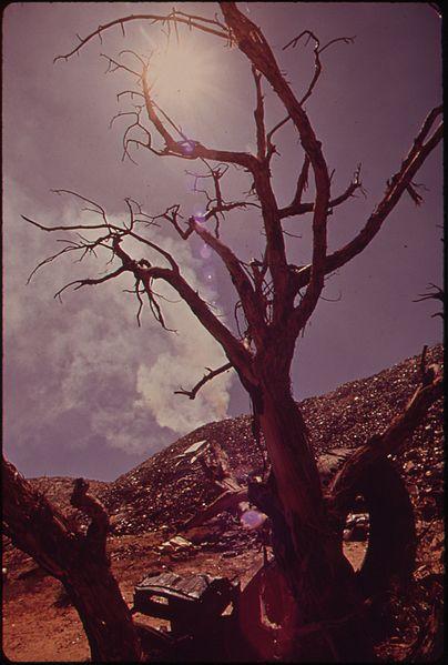 404px-DEAD_TREE_WITH_THE_MOAB_CITY_DUMP_IN_THE_BACKGROUND._ASIDE_FROM_AUTOS,_THE_DUMP_SEEMS_TO_BE_THE_MAIN_SOURCE_OF_AIR..._-_NARA_-_545747