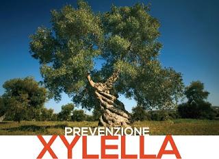 GLI AGRICOLTORI DELLE PROVINCE DI LECCE, BRINDISI E TARANTO INTERVENGANO IN QUESTO MODO AL FINE DI CONTENERE L'INFEZIONE DI XYLELLA