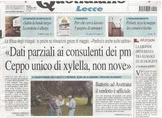 Xylella 2 febbraio 2016