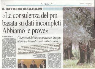 Xylella 2 febbraio 2016