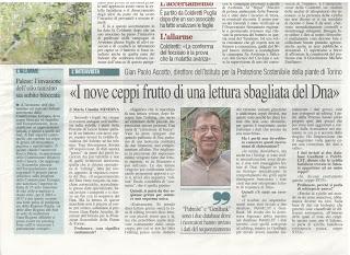 Xylella 2 febbraio 2016