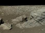 Sulla Luna coniglio…