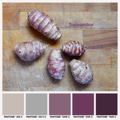 lacaccavella, foodcolors, colorpalette, topinambur, sunroots