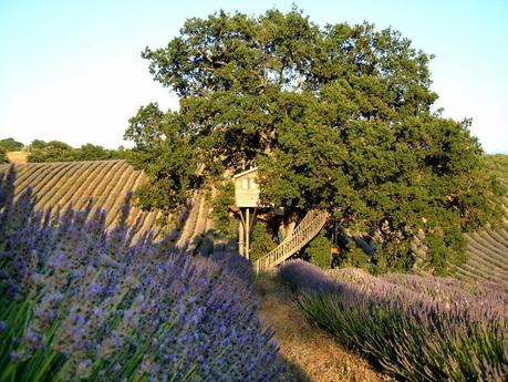 WEEK-END ROMANTICI - LE PIÙ BELLE CASE SULL'ALBERO