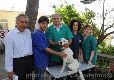 Controlli anti leishmaniosi e chippatura 2016 a POSITANO