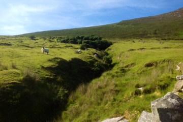 L’Irlanda in quattro piatti: viaggio nei sapori di Kerry