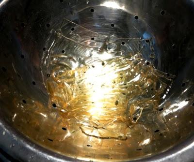 CHEESE CAKE ALLE MELE CARMELLATE