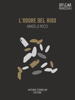 L'odore del riso. La recensione di Roberta Marcaccio