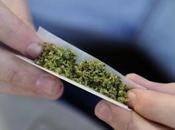 VIGEVANO (pv). risultati dell’attività contrasto decoro alla sicurezza urbana condotti dalla Polizia Locale.