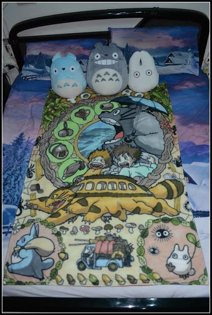 Coperta Fotoregali Totoro & la Città Incantata