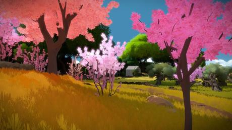 Nel segno di The Witness - Speciale